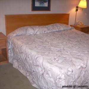 Princess Motel Maryville Zimmer foto